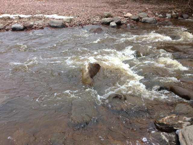Steelhead Alert – 5/5/13