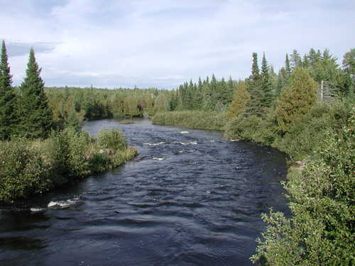 River Safety