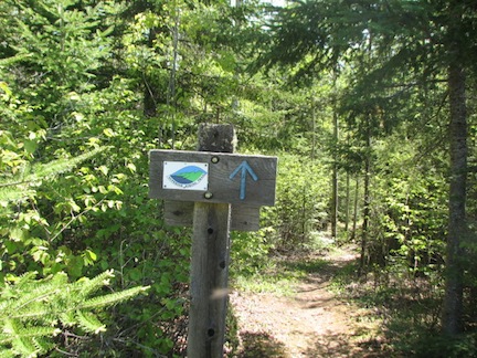 Easy hiking on the Superior National Trail