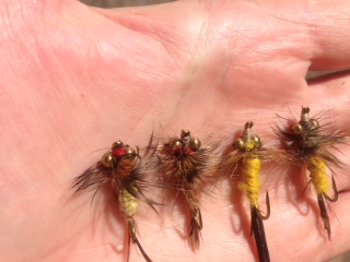 Learning to Fly Fish