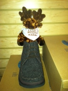 Why do I Love Moose Madness Weekend in Grand Marais?