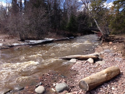 Cook County Fishing Opener Preview